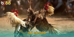 Đá Gà Đòn Bj88 sh – Kỹ Thuật Đánh Đòn