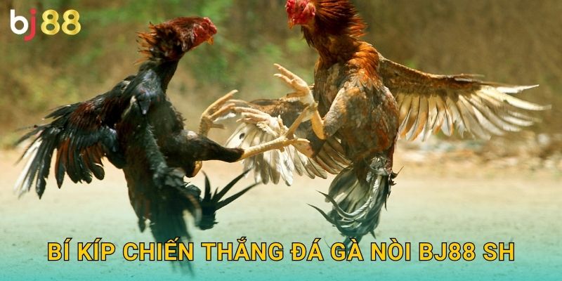 Bí kíp chiến thắng đá gà nòi bj88 sh