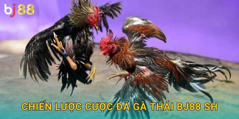 Chiến lược cược đá gà Thái bj88 sh