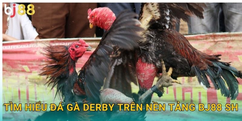 Tìm hiểu đá gà Derby trên nền tảng Bj88 sh