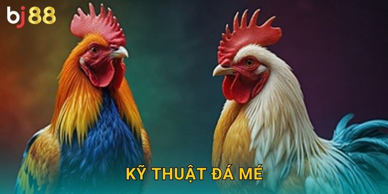 Kỹ Thuật Đá Mé Bj88 sh - Chiêu Thức Cao Cấp 28 Kỹ Thuật Đá Mé Bj88 sh – Chiêu Thức Cao Cấp