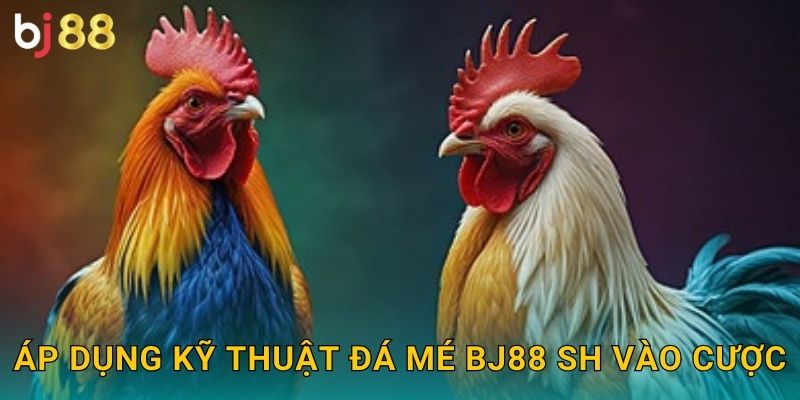 Kỹ Thuật Đá Mé Bj88 sh - Chiêu Thức Cao Cấp 3 Áp dụng kỹ thuật đá mé bj88 sh vào cược