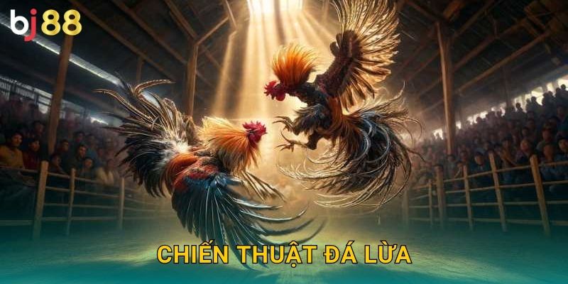 Chiến Thuật Đá Lừa Bj88 sh – Nghệ Thuật Qua Mặt