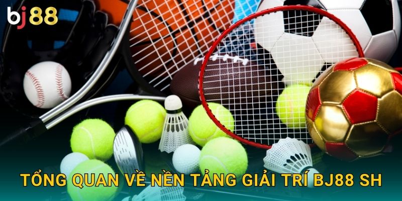 BJ88 SH Là Gì? Tổng Quan Về Nền Tảng Đổi Thưởng Đẳng Cấp